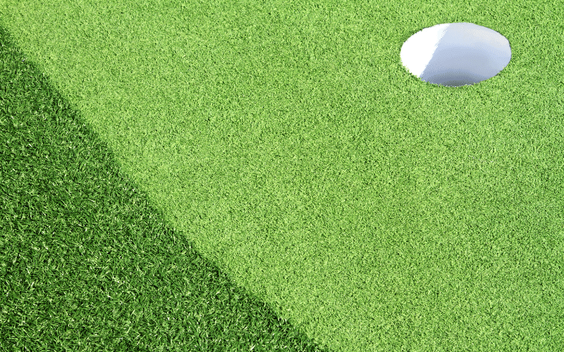 golf-putting-green-grass