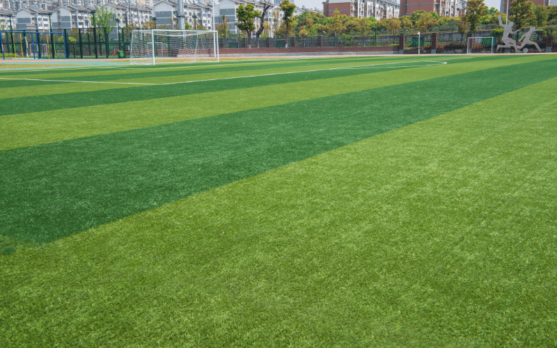 xeriscaping-soccer-field